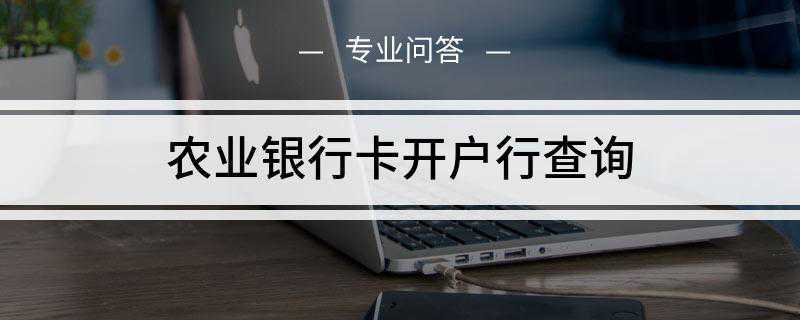 农业银行卡开户行查询(农业银行查询开户行的方法)