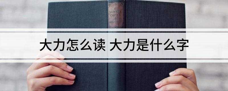 大力怎么读 大力是什么字(夯实土是使做好的地坪不至于塌陷的关键工序)