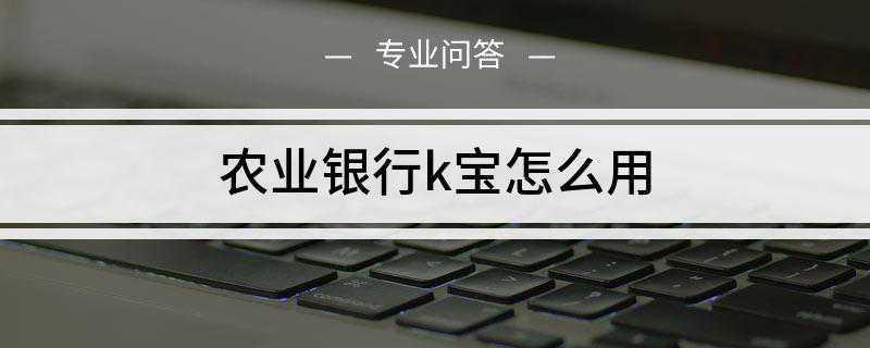 农业银行k宝怎么用(中国农业银行安装K宝的驱动程序)