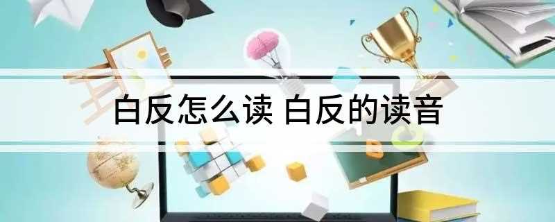 白反怎么读 白反的读音