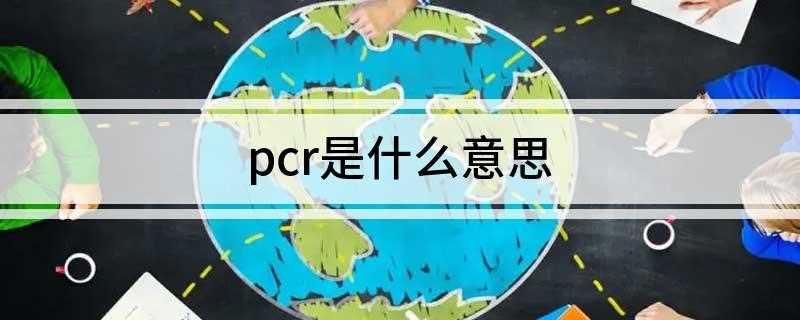 pcr是什么意思