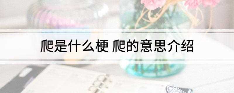 爬是是什么意思(四川话的某群带主播带起来的地步)