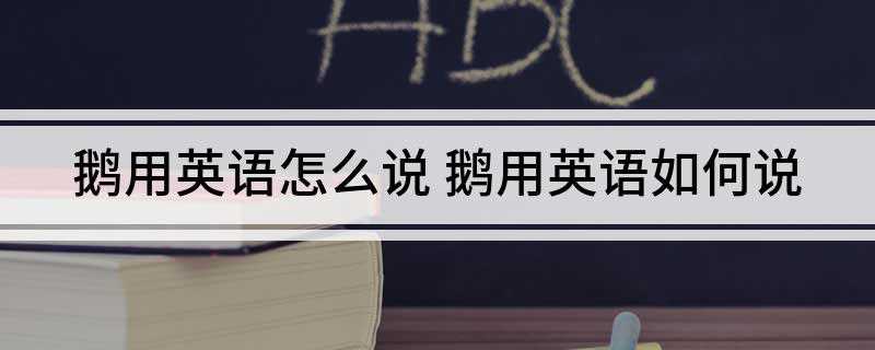鹅用英语怎么说