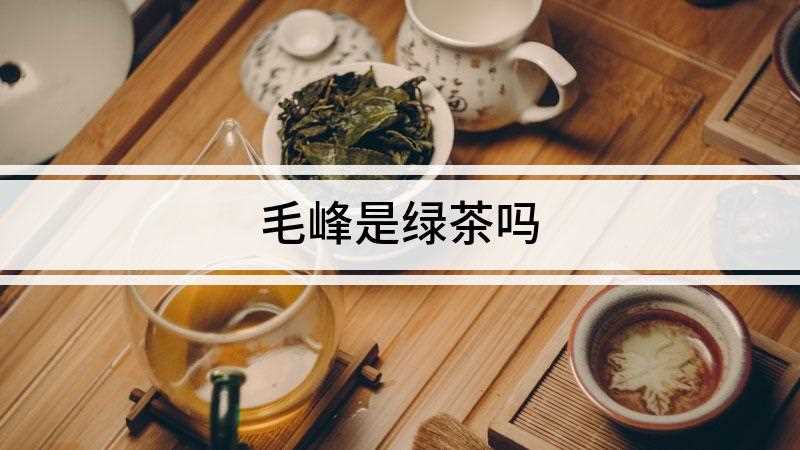 毛峰是绿茶吗