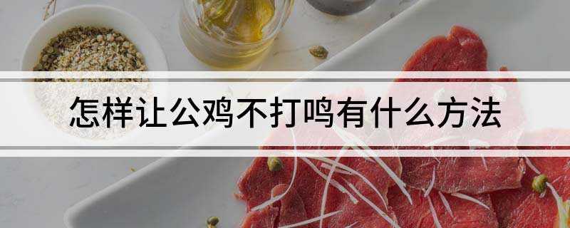 怎样让公鸡不打鸣