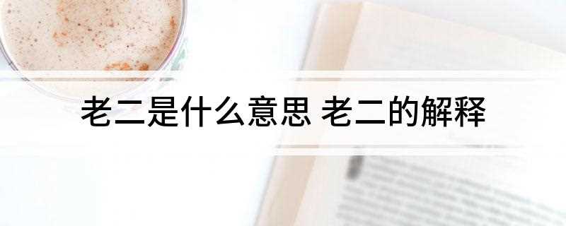 老二是什么意思(老二就是神经有问题的意思)
