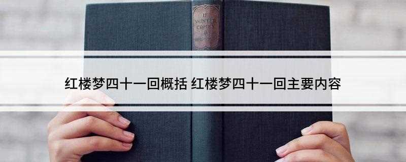 红楼梦四十一回概括
