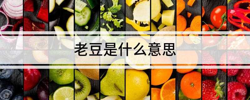老豆是什么意思