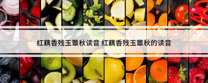 红藕香残玉簟秋读音(《一剪梅红藕香残玉簟秋》)