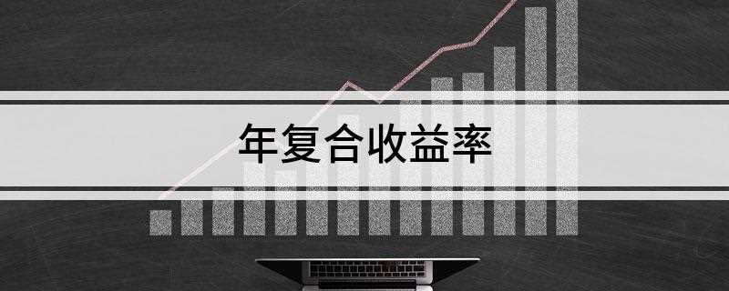 年复合收益率(B)