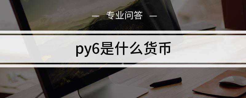 py6是什么货币(py6是指俄罗斯的货币卢布)