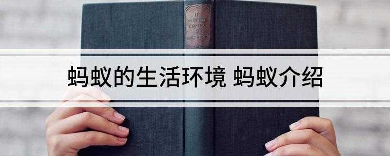 蚂蚁的生活环境 蚂蚁介绍