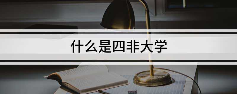 什么是四非大学