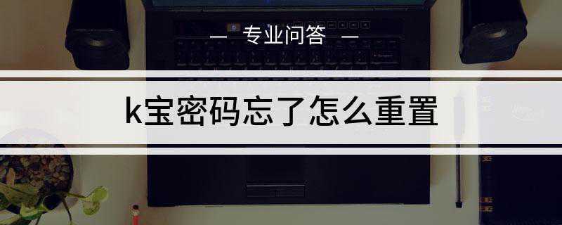 k宝密码忘了怎么重置(农行K宝的密码重置方法)