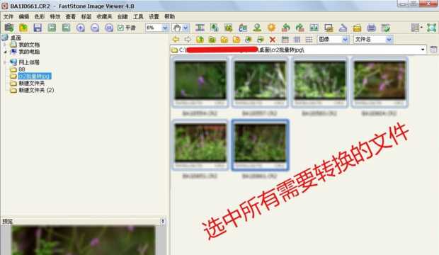 .cr2格式文件如何快速批量转换成jpg等格式(Cr2格式的文件如何快速转换成JPG)