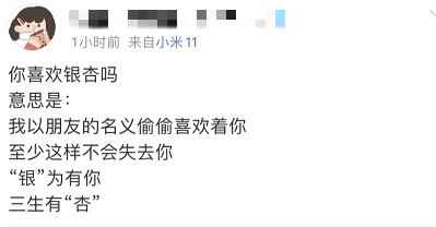 你喜欢银杏吗梗的意思含义出处介绍