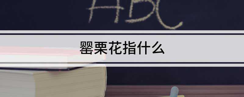 罂栗花指什么
