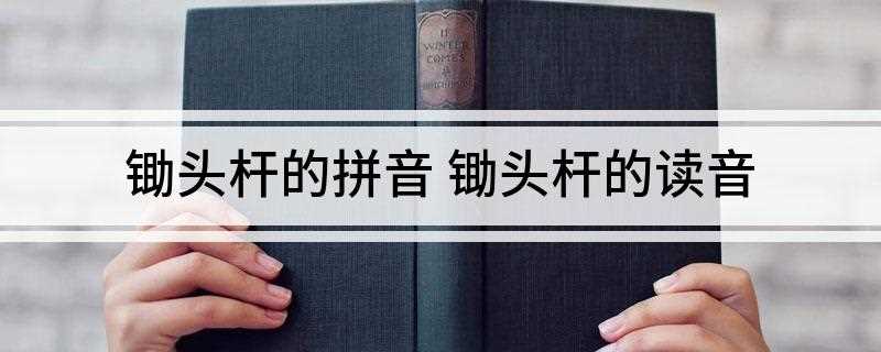 锄头杆的拼音(锄头杆拼音的分类有哪些)