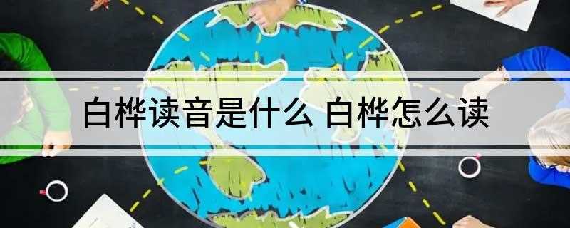 白桦读音是什么