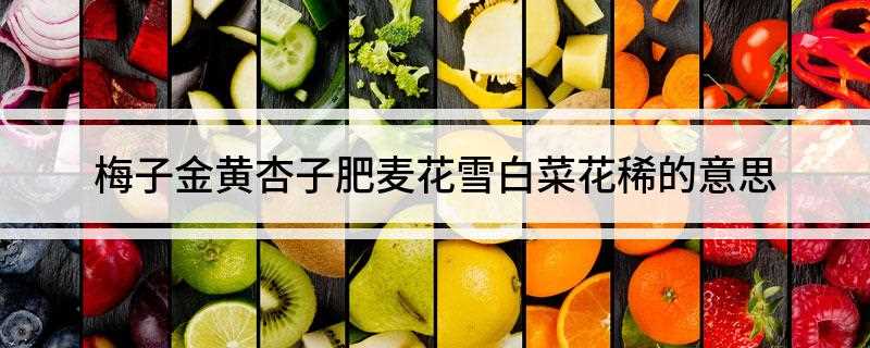 梅子金黄杏子肥麦花雪白菜花稀的意思