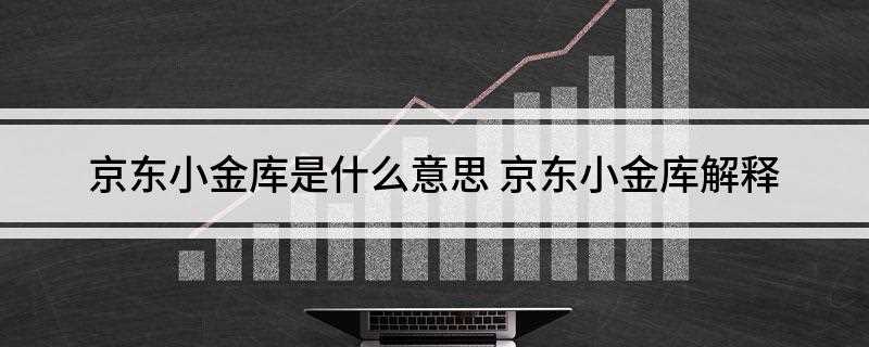 京东小金库是什么意思(“小金库”是基于京东账户体系的承载体)