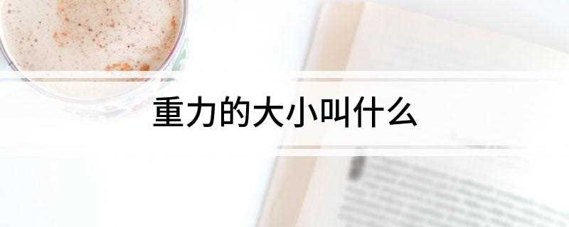 重力的大小叫什么(重力大小是物体由于地球的吸引而受到的大小)