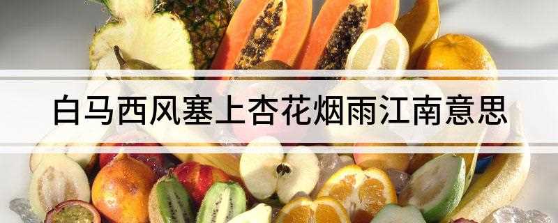 白马西风塞上杏花烟雨江南意思