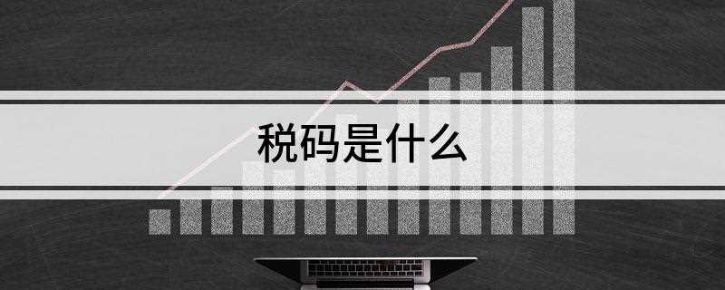 税码是什么(三证合一后纳税人识别号跟统一社会信用代码是一个号码)