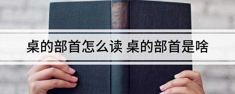 桌的部首怎么读