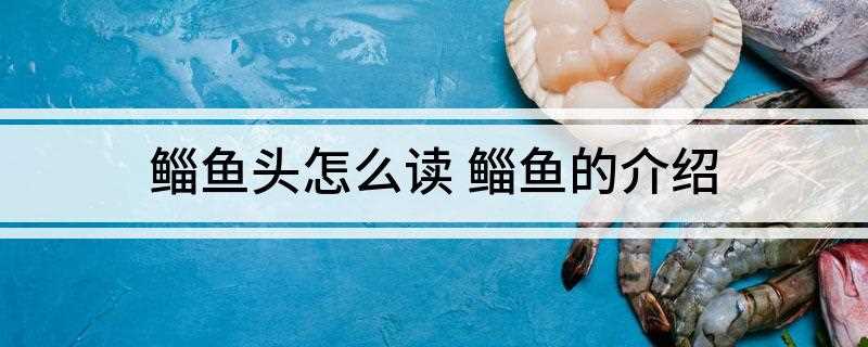 鲻鱼头怎么读 鲻鱼的介绍