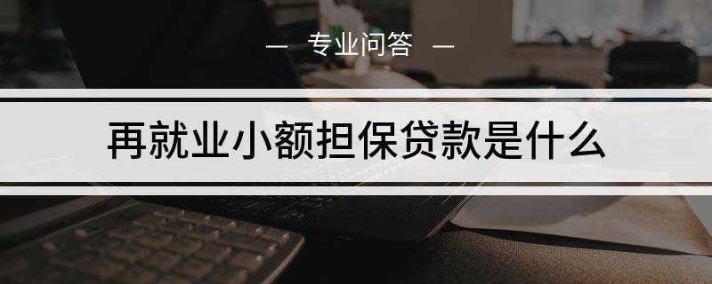 再就业小额担保贷款是什么(哪些人可以申请再就业小额担保贷款)