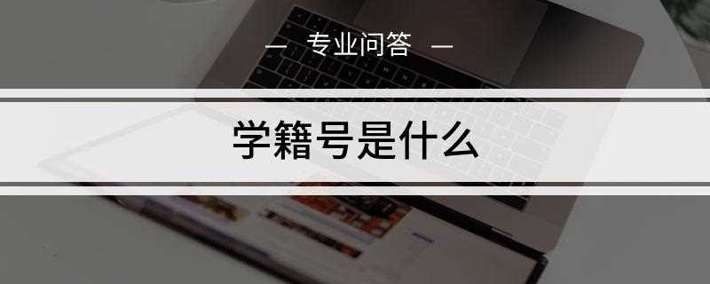 学生的学籍号是什么(学籍号是学籍信息的核心要素)