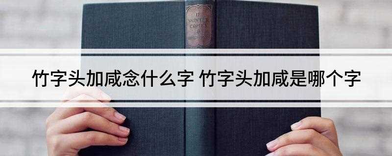 竹字头加咸念什么字