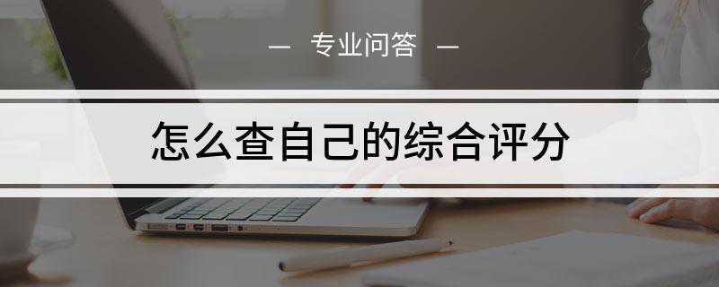 怎么查自己的综合评分(信用综合评分无法进行查询)