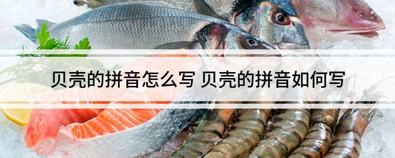 贝壳的拼音怎么写(天然碳酸钙矿物质相由约0)