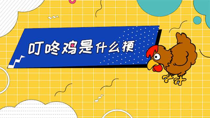 叮咚鸡是是什么意思