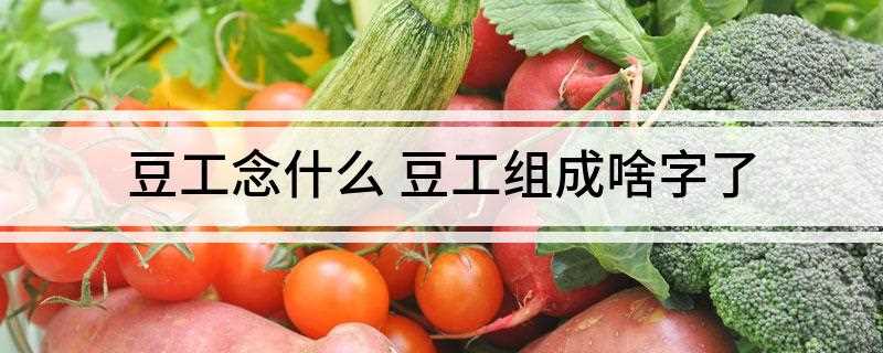 豆工念什么 豆工组成啥字了