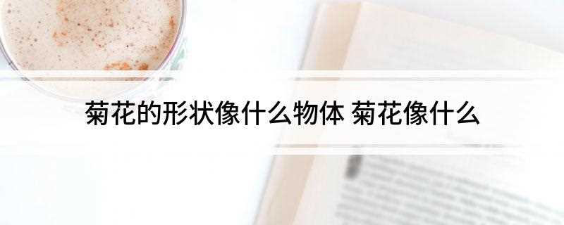 菊花的形状像什么物体 菊花像什么