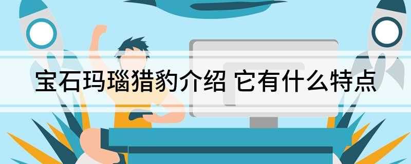 宝石玛瑙猎豹介绍(宝石玛瑙猎豹的制作材料是其他四种宝石猎豹各一只)