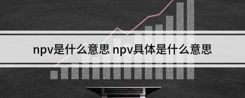npv是什么意思