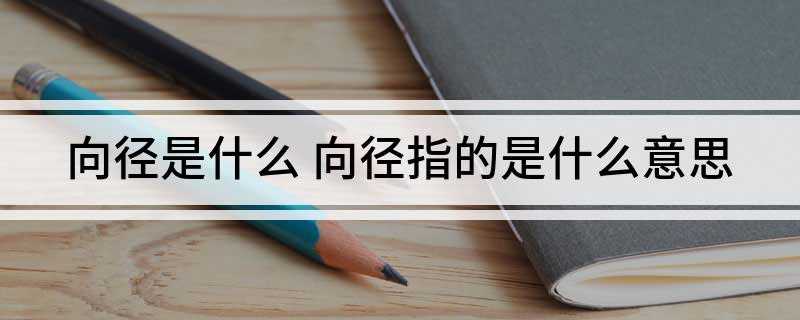 向径是什么 向径指的是什么意思(质点运动学常见问题解答)
