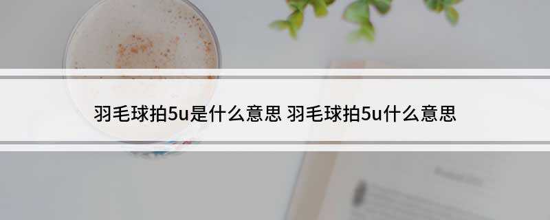 羽毛球拍5u是什么意思(羽毛球拍重量参数是多少)
