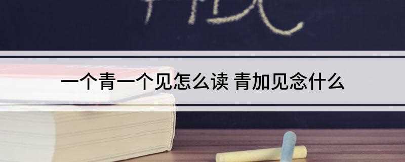 一个青一个见怎么读