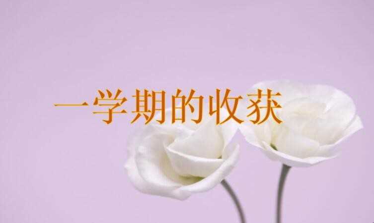 一学期是一年或是半年