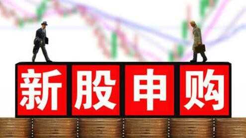 中国股市投资者如何进行新股申购