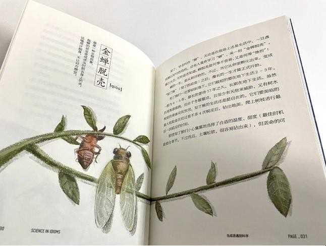 昆虫记被誉为什么