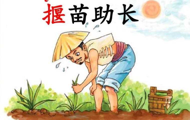 《揠苗促长》告诉我们什么道理