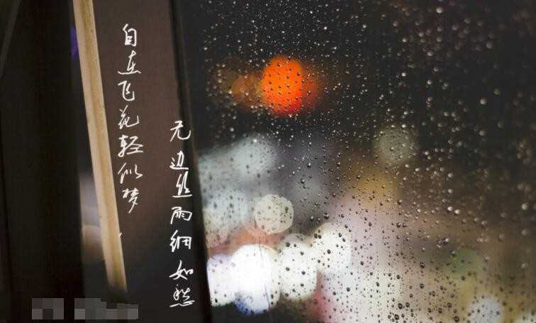自得飞花轻似梦无垠丝雨细如愁的意思是什么