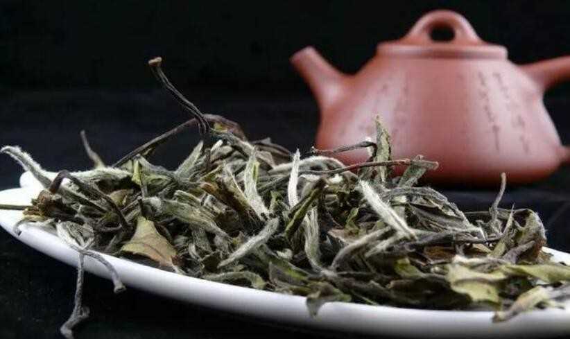 黄金芽茶叶多少钱一斤