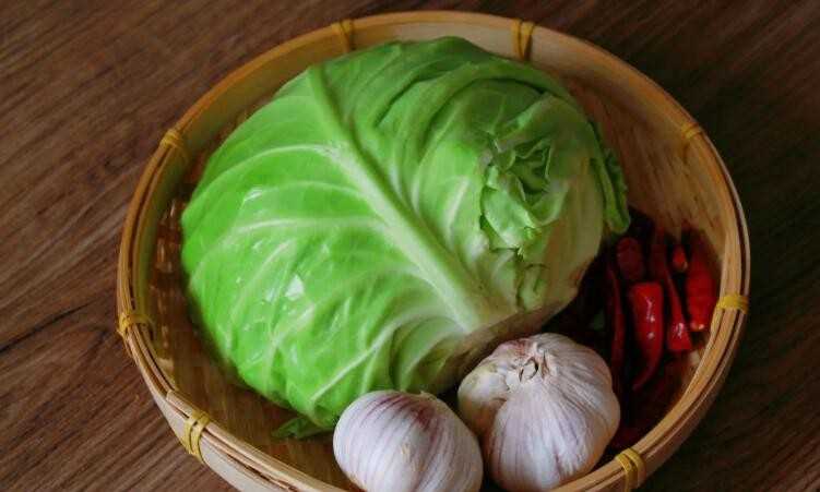 包菜热量多少钱